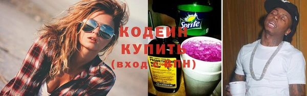 дживик Киренск
