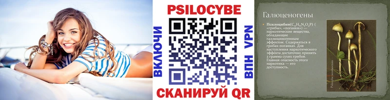 Купить закладки  Домодедово  Галлюциногенные грибы Psilocybine cubensis 